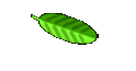 gabi