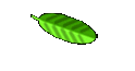 hannes