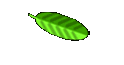 matthias