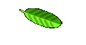 moritz