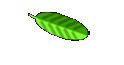 philipp
